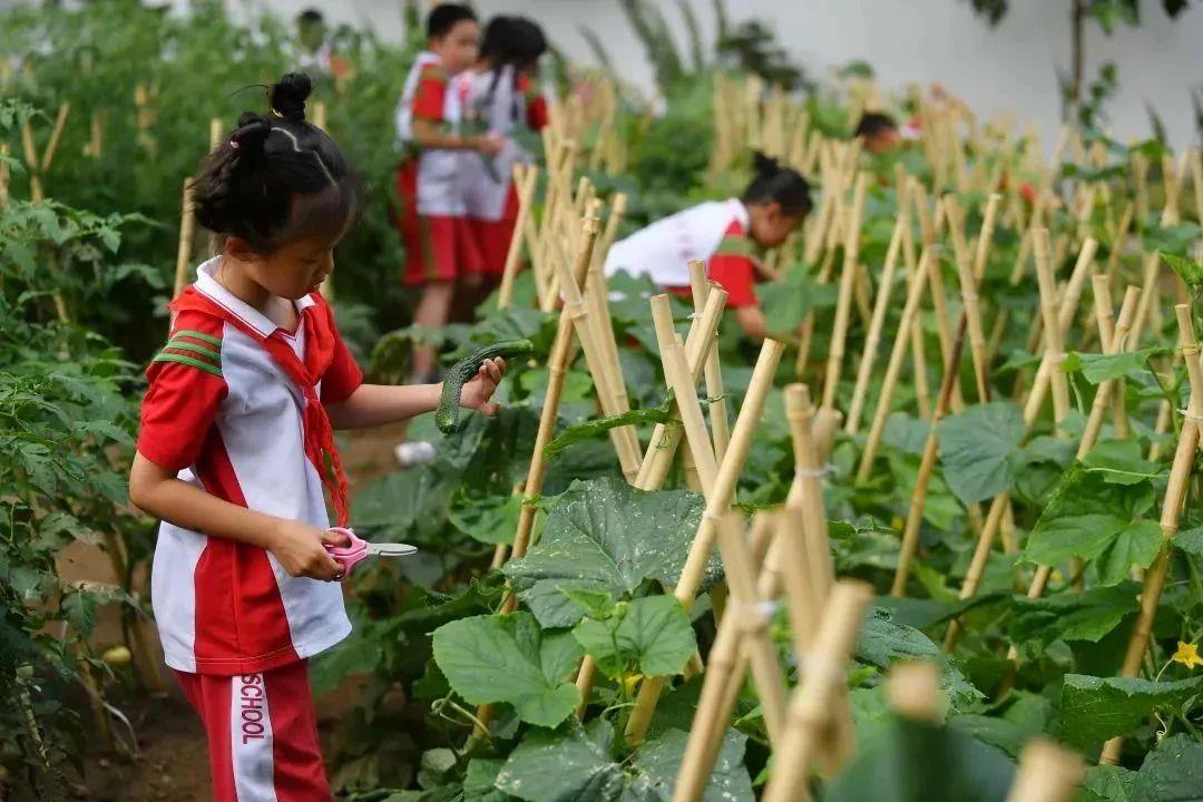 走過2023丨總書記的民生之&ldquo;問&rdquo;