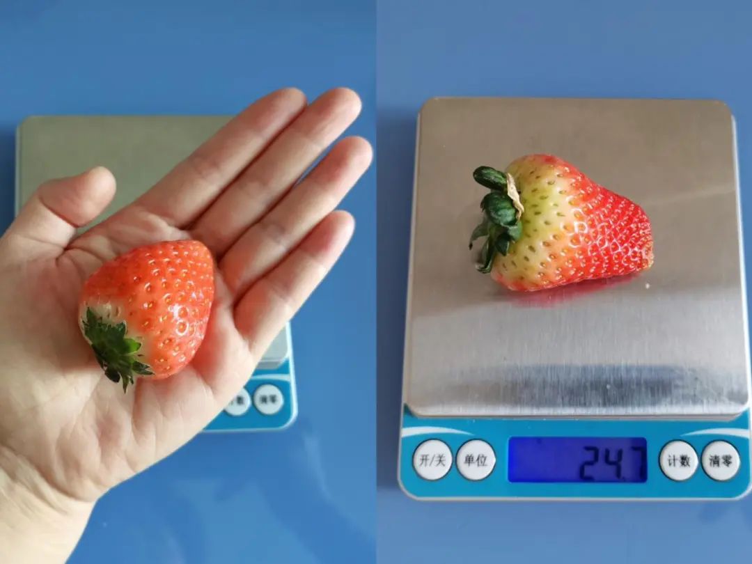 洗草莓千萬別摘草莓蒂！小心越洗越臟