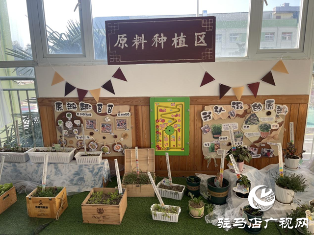 食育有方！駐馬店這家幼兒園被評為特色幼兒園
