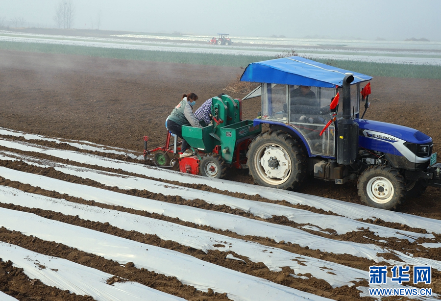 河南南陽:小寒至 農事忙