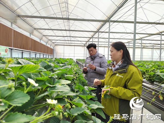 市天中生態(tài)農(nóng)業(yè)：市委五屆五次全會(huì)暨市委經(jīng)濟(jì)工作會(huì)議精神進(jìn)一步激發(fā)創(chuàng)新意識(shí)