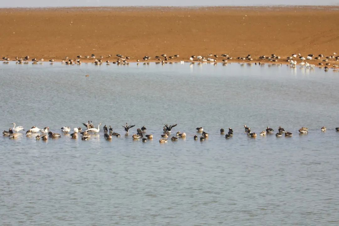 高鐵新線開通，去看人間仙境！