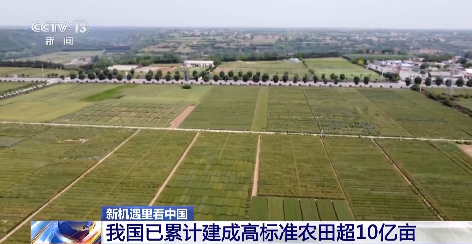 新機(jī)遇里看中國丨“糧田”變“良田” 育無限“良機(jī)”