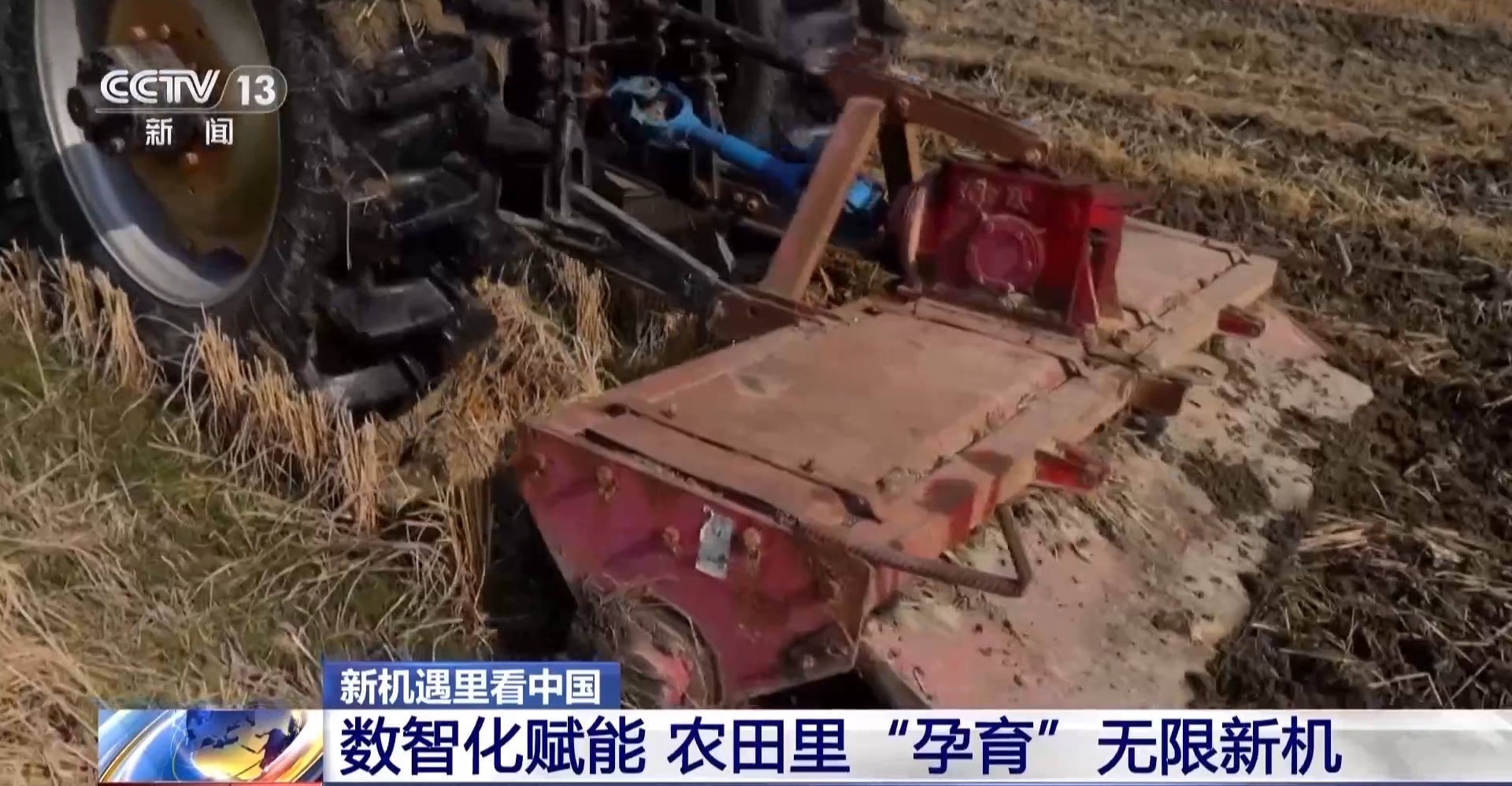 新機(jī)遇里看中國丨“糧田”變“良田” 育無限“良機(jī)”
