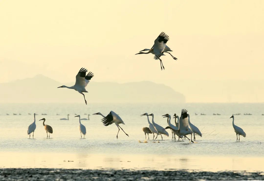 高鐵新線開通，去看人間仙境！