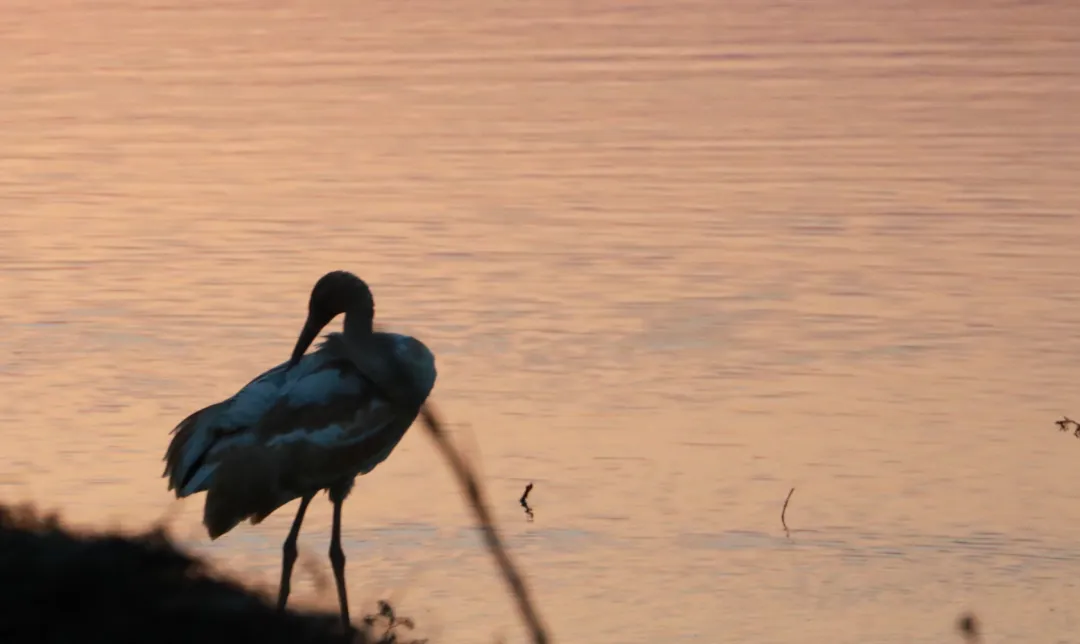 高鐵新線開通，去看人間仙境！