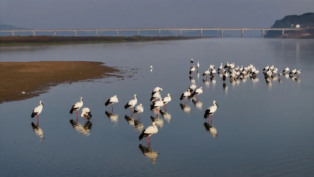 高鐵新線開通，去看人間仙境！