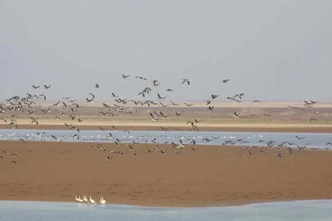 高鐵新線開通，去看人間仙境！