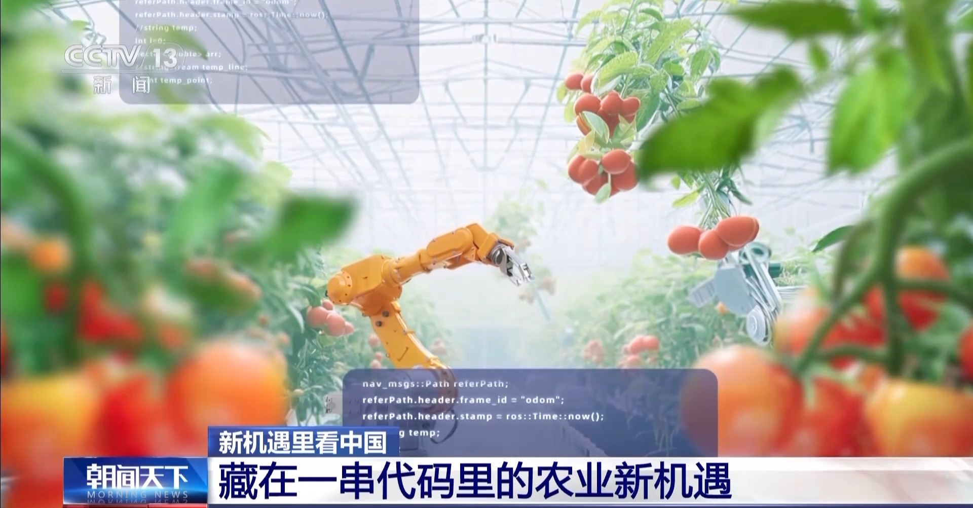 新機(jī)遇里看中國丨“糧田”變“良田” 育無限“良機(jī)”