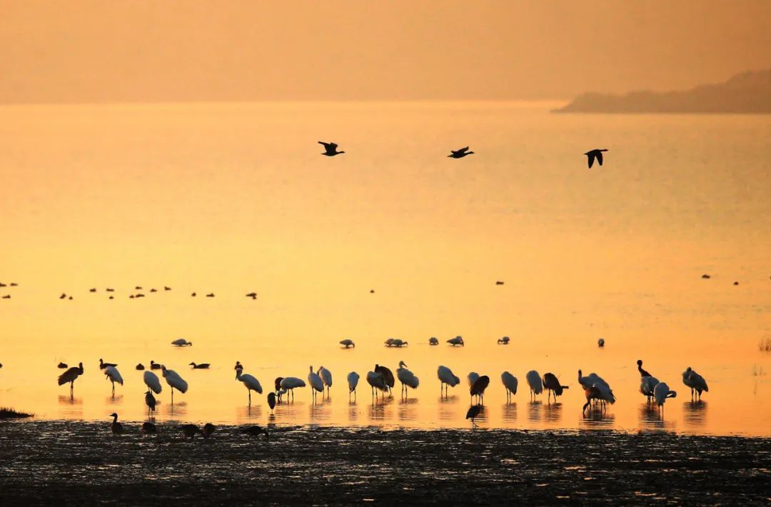 高鐵新線開通，去看人間仙境！