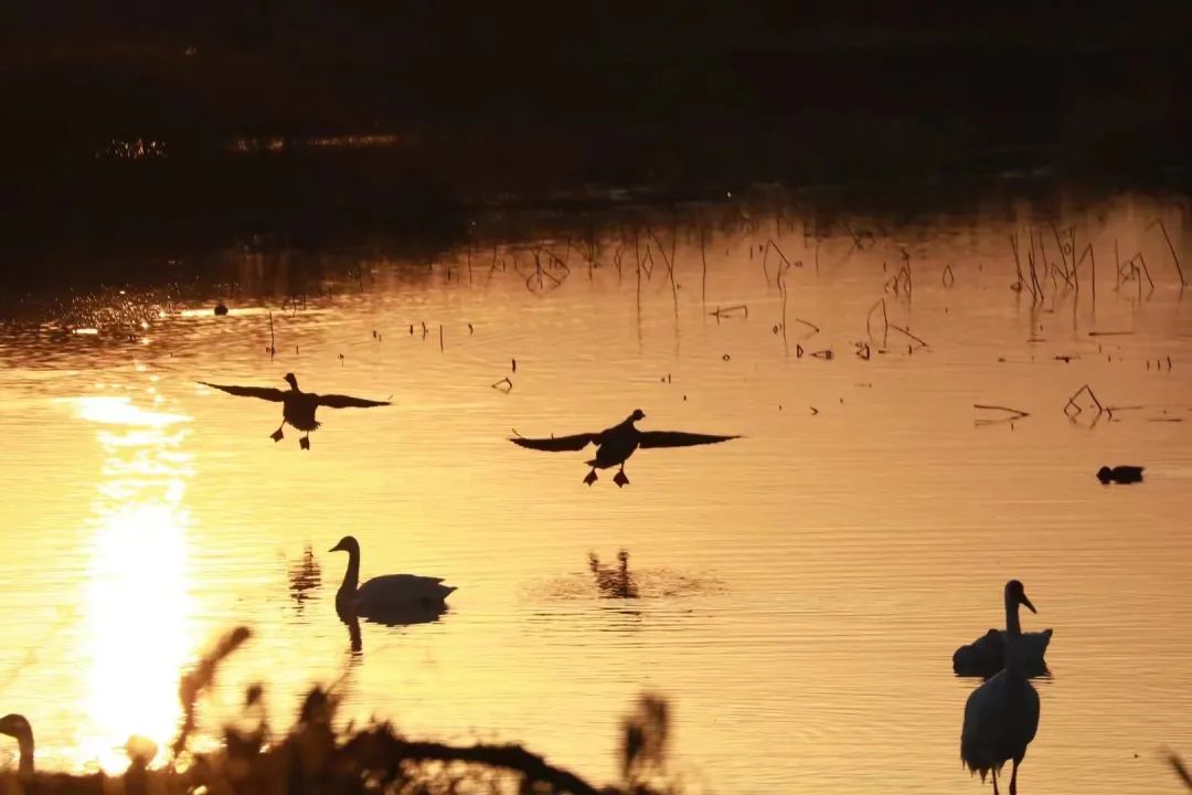高鐵新線開通，去看人間仙境！