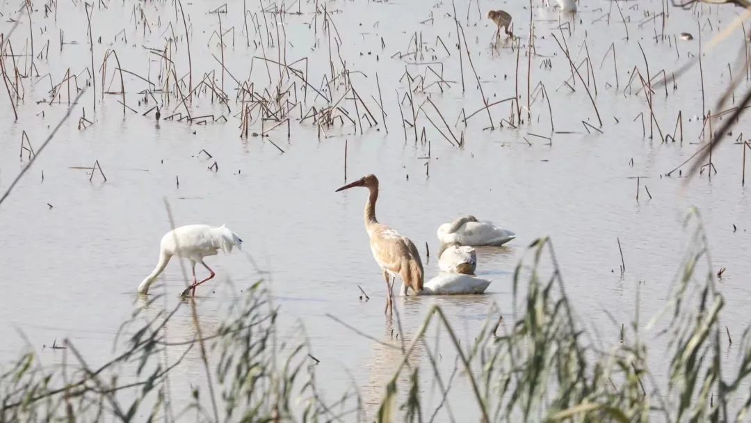 高鐵新線開通，去看人間仙境！
