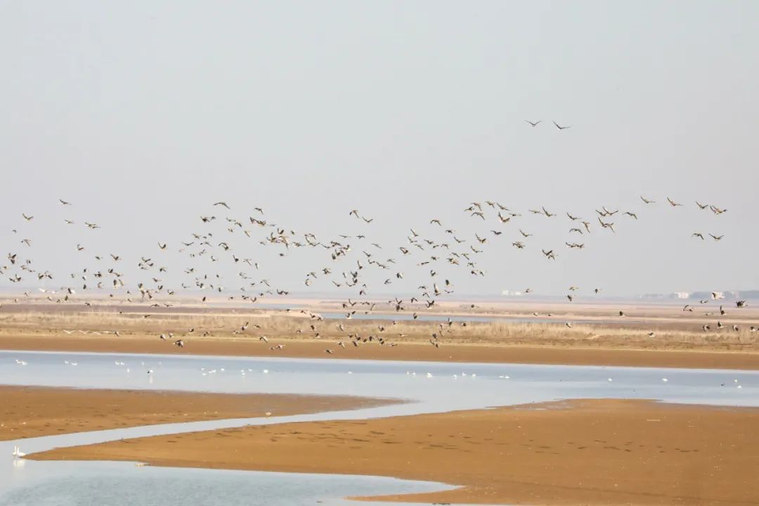 高鐵新線開通，去看人間仙境！