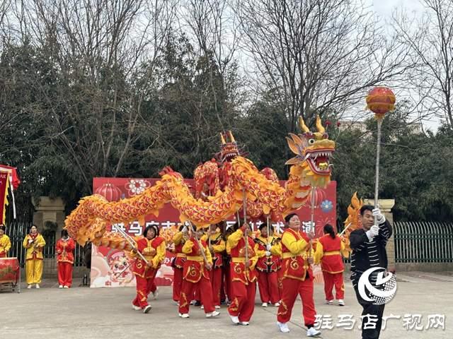 大飽眼福！駐馬店市非遺與民間藝術(shù)展演在這里開演了