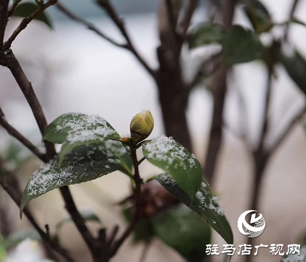 2月4日立春，農(nóng)歷又是無春年