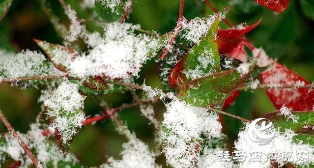 2月4日立春，農(nóng)歷又是無春年