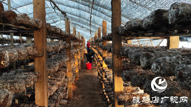 駐村第一書記常永新：發(fā)展特色產(chǎn)業(yè) 帶富一方百姓
