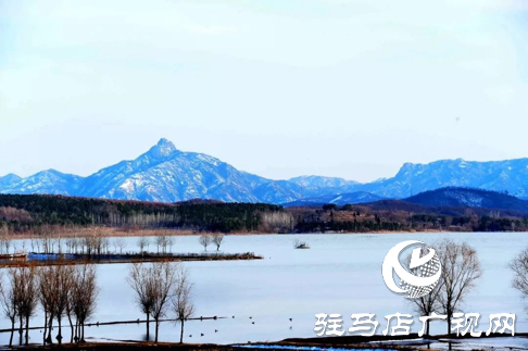 詩朗誦《銅山湖雪岸、玉樹、水鳥........絕美的一幅畫》