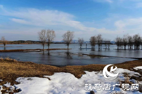 詩朗誦《銅山湖雪岸、玉樹、水鳥........絕美的一幅畫》