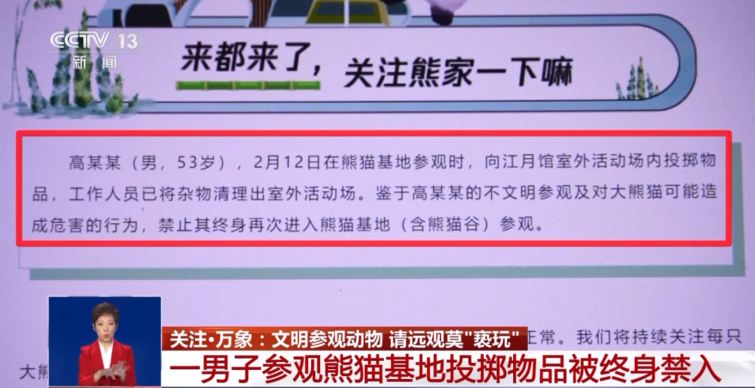 又有游客被終身禁入，為什么不能隨意投喂大熊貓？