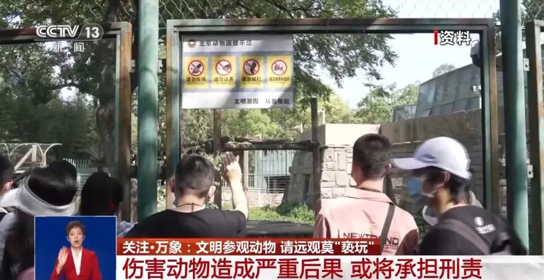 又有游客被終身禁入，為什么不能隨意投喂大熊貓？