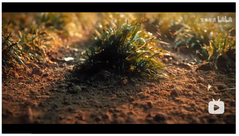 你可能不知道河南馬街書會(huì)，但她已在麥田里等了你一千年