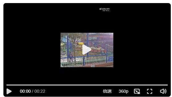 河南南陽(yáng): 女童景區(qū)游玩不慎落水，正在休假的民警劉甲星見狀立馬跳入冰冷的水中將其救起！