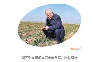 今日雨水，聽(tīng)“郭小麥”出豐產(chǎn)“十招”