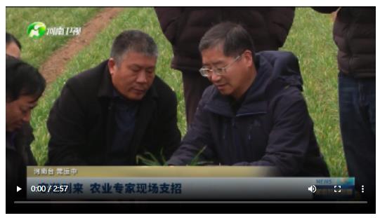 寒潮到來 農(nóng)業(yè)專家現(xiàn)場支招