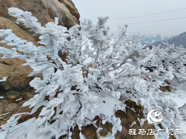 美呆了！羅漢山開(kāi)啟雪凇、霧凇雙景齊現(xiàn)模式