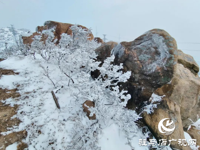 美呆了！羅漢山開(kāi)啟雪凇、霧凇雙景齊現(xiàn)模式