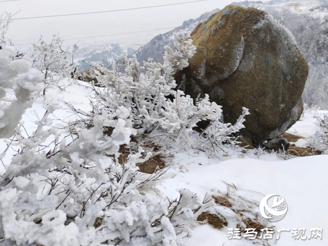 美呆了！羅漢山開(kāi)啟雪凇、霧凇雙景齊現(xiàn)模式