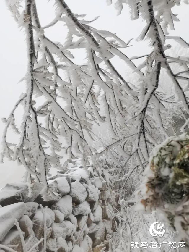 美呆了！羅漢山開(kāi)啟雪凇、霧凇雙景齊現(xiàn)模式