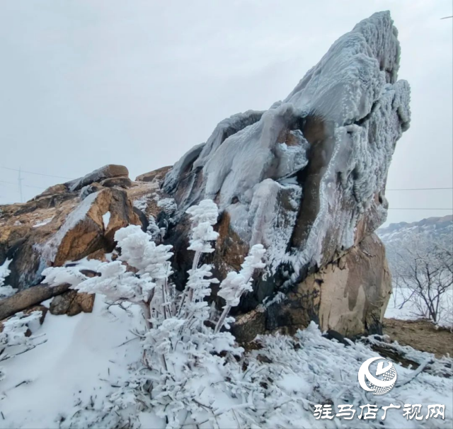 美呆了！羅漢山開(kāi)啟雪凇、霧凇雙景齊現(xiàn)模式