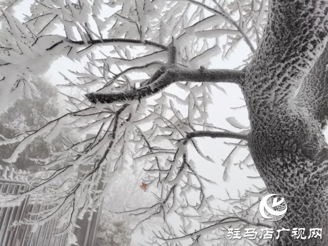 美呆了！羅漢山開(kāi)啟雪凇、霧凇雙景齊現(xiàn)模式
