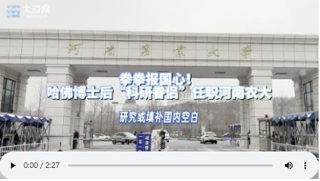 哈佛博士后“夫妻檔”任職河南高校：“13年前離家時(shí)就決定學(xué)成歸國！”