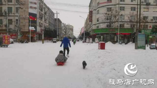 2024年后這場大雪你滑雪了嗎?快來看看各種各樣的滑雪模式！