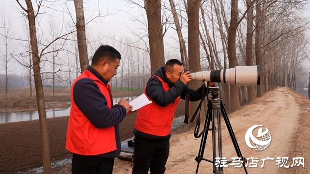 寒冬，他們在宿鴨湖濕地守護候鳥