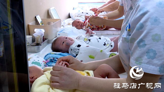 龍寶寶扎堆出生帶來家政市場復(fù)蘇