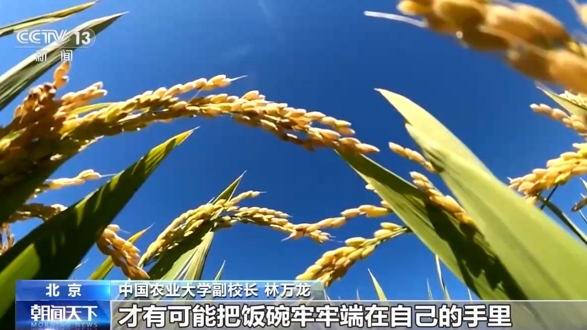 “大農(nóng)業(yè)觀”第一次寫入政府工作報(bào)告！今年“三農(nóng)”工作重點(diǎn)有這些