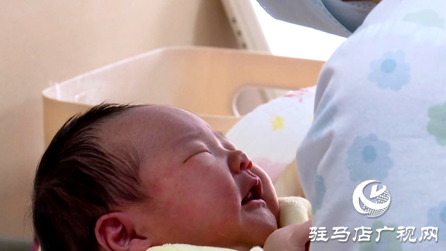 龍寶寶扎堆出生帶來家政市場復(fù)蘇