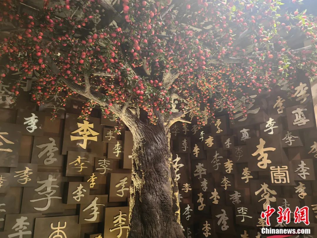 人這一輩子，一定要去一趟周口！