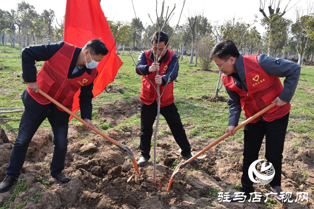 駐馬店高新區(qū)投資公司開(kāi)展植樹(shù)造林志愿服務(wù)活動(dòng)