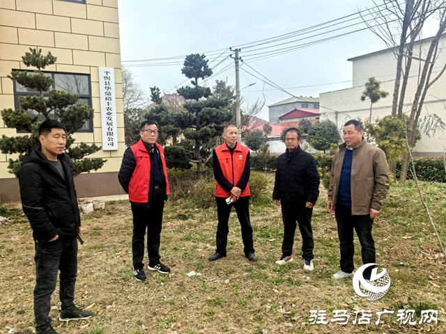 平輿縣科技小院專家組開(kāi)展科技志愿服務(wù)活動(dòng)