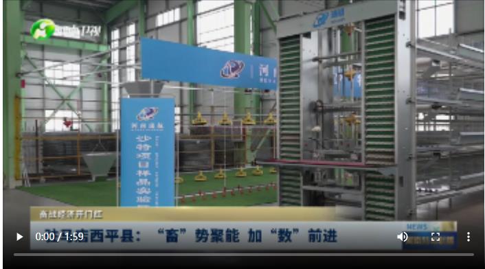 駐馬店西平縣：“畜”勢聚能 加“數(shù)”前進 | 奮戰(zhàn)經(jīng)濟開門紅