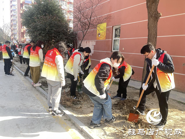 駐馬店：100多名志愿者為城市&ldquo;增綠添彩&rdquo;
