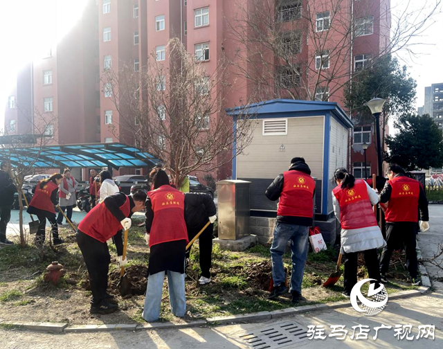 駐馬店：100多名志愿者為城市&ldquo;增綠添彩&rdquo;