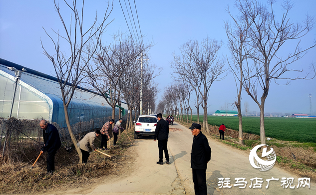 平輿縣十字路鄉(xiāng):人居環(huán)境整治持續(xù)發(fā)力 促進(jìn)“生態(tài)宜居星”再提升