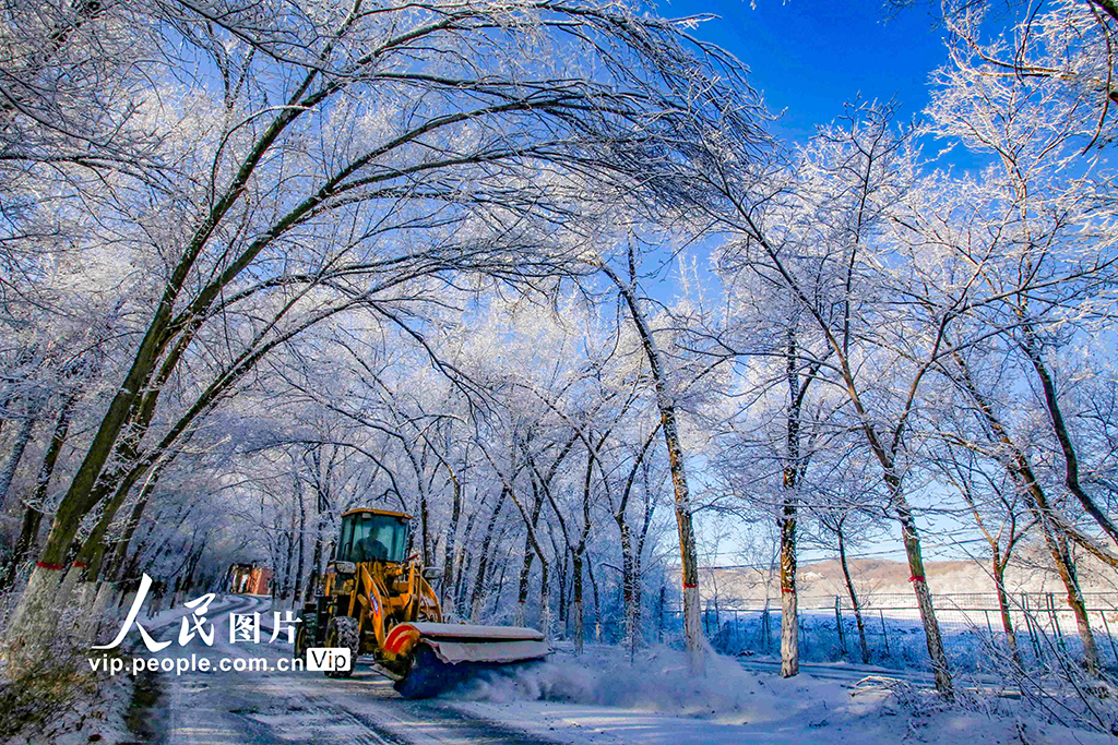 新疆烏魯木齊:霧凇滿(mǎn)枝靚冬日