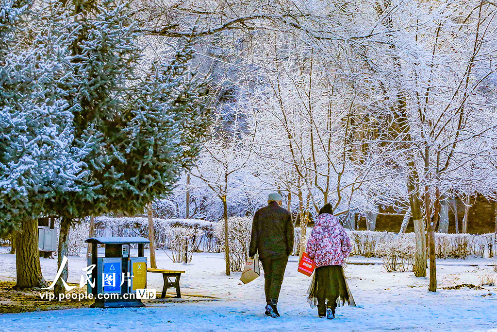 新疆烏魯木齊:霧凇滿(mǎn)枝靚冬日
